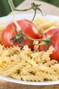 Italian fusilli pasta with tomatoes Royalty Free Stock Photo