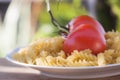 Italian fusilli pasta with tomatoes Royalty Free Stock Photo