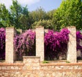 Italian garden