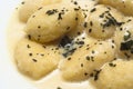 Gnocchi with four cheese sauce Royalty Free Stock Photo