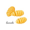 Italian gnocchi. Home made pasta cuisine. Traditional pasta food. Vector