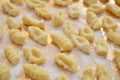 Italian gnocchi pasta food fresh traditional with potato Royalty Free Stock Photo