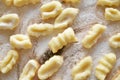 Italian gnocchi pasta food fresh traditional with potato Royalty Free Stock Photo