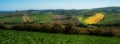 Italian green fields landscape