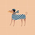 Italian greyhound in a blue beret and striped vest with French baguette. Dog vector illustration. Royalty Free Stock Photo