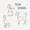 Italian Greyhound Cartoon Dog Set. Royalty Free Stock Photo