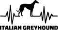 Italian Greyhound heartbeat word