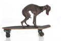 Italian Greyhound on a skateboard on white