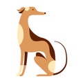 Italian Greyhound Whippet Dog Cartoon Illustration