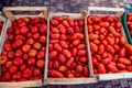 Italian heirloom and san marzano tomatoes heap in wood cases