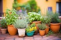 italian herb garden with basil, oregano, and thyme in pots