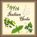 Italian Herbs, Classic Blend of Cooking Ingredients Royalty Free Stock Photo