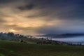 Italian countryside foggy landscape Royalty Free Stock Photo