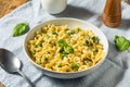 Italian Homemade Gigli Pasta Meal Royalty Free Stock Photo