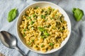 Italian Homemade Gigli Pasta Meal Royalty Free Stock Photo