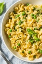 Italian Homemade Gigli Pasta Meal Royalty Free Stock Photo