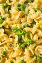 Italian Homemade Gigli Pasta Meal Royalty Free Stock Photo