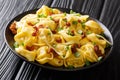 Italian homemade tortelloni served with bacon and cheese close-up in a plate. horizontal