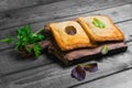 Italian hot crispy panini sandwiches Royalty Free Stock Photo