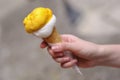 Italian ice-cream in waffle cone Royalty Free Stock Photo