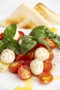 Italian insalada caprese Royalty Free Stock Photo