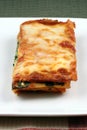 Italian just baked lasagna Royalty Free Stock Photo