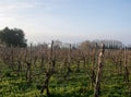 Italian landscape with blue sky