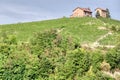 Italian Langhe vinery farm, summertime. COlor image