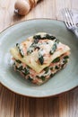 Italian lasagna with asparagus salmon and besciamella cheese Royalty Free Stock Photo