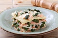 Italian lasagna with asparagus salmon and besciamella cheese Royalty Free Stock Photo