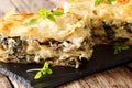 Italian lasagna with chicken, wild mushrooms, mozzarella and par