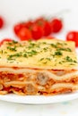 Italian lasagna.