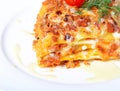 The Italian lasagna on a plate Royalty Free Stock Photo