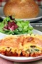 Italian lasagna rolls Royalty Free Stock Photo