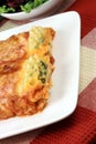 Italian lasagna rolls Royalty Free Stock Photo