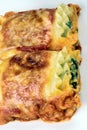 Italian lasagna rolls Royalty Free Stock Photo