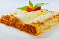 Italian lasagna rolls on a white plate Royalty Free Stock Photo