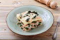 Italian lasagna with salmon and asparagus Royalty Free Stock Photo