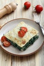 Italian lasagna with spinach and besciamella cheese Royalty Free Stock Photo