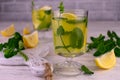 Italian lemon liqueur limoncellos with mint.Close-up. Royalty Free Stock Photo