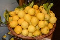 Italian lemons Royalty Free Stock Photo