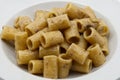 Italian Macaroni pasta with porcini mushroom sauce Royalty Free Stock Photo