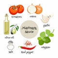 Italian Marinara sauce ingredients. Cartoon vector illustration