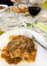 Ravioli with meat sauce bolognese. Royalty Free Stock Photo