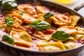 Italian or mediterranean food pasta ravioli of tomato sauce.