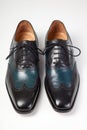 Italian men's shoes