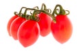 Italian Miniature Tomatoes