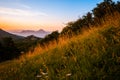 Italian mountain landscape with field of grass at sunset