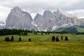 Italian mountains - Alpe di Siusi