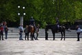 Italian mounted police are patroling at Sempione Square